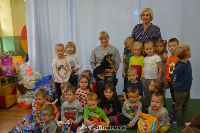 Wizyta Wiesławy Rykowskiej w Krainie Misiów [18.11.2016] - zdjęcie #53 - eOstroleka.pl