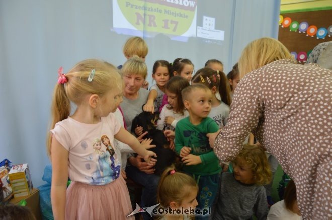 Wizyta Wiesławy Rykowskiej w Krainie Misiów [18.11.2016] - zdjęcie #3 - eOstroleka.pl