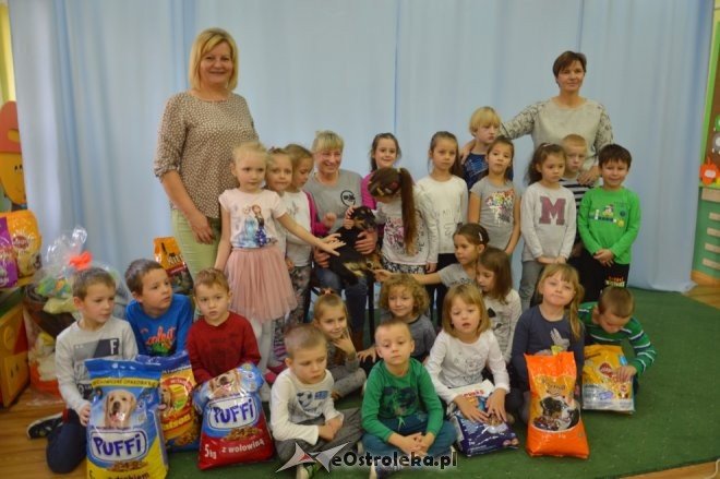 Wizyta Wiesławy Rykowskiej w Krainie Misiów [18.11.2016] - zdjęcie #2 - eOstroleka.pl
