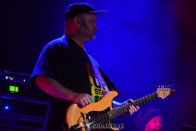 Maleo Reggae Rockers - Panny Sprawiedliwe [28.11.2016] - zdjęcie #22 - eOstroleka.pl