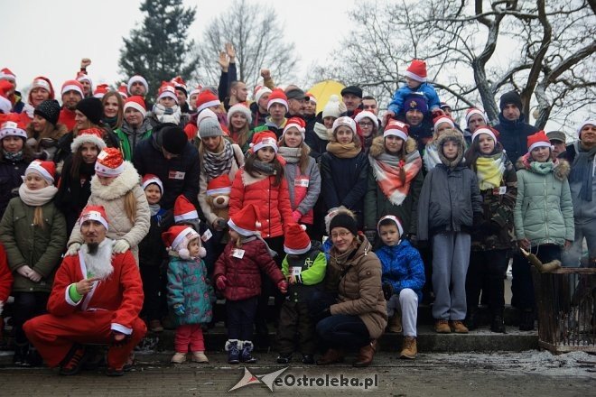 Rodzinny Bieg Mikołajkowy w Ostrołęce [04.12.2016] - zdjęcie #44 - eOstroleka.pl
