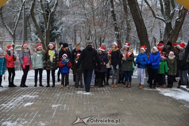 Rodzinny Bieg Mikołajkowy w Ostrołęce [04.12.2016] - zdjęcie #41 - eOstroleka.pl