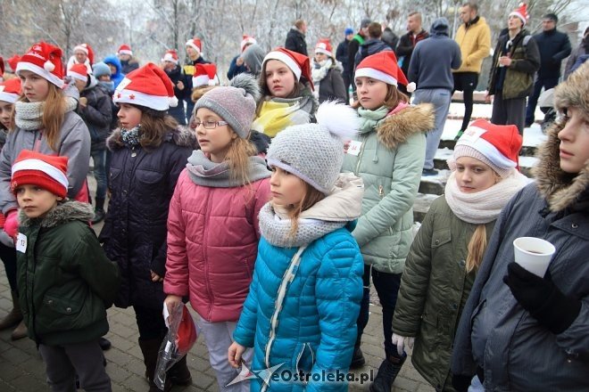 Rodzinny Bieg Mikołajkowy w Ostrołęce [04.12.2016] - zdjęcie #124 - eOstroleka.pl