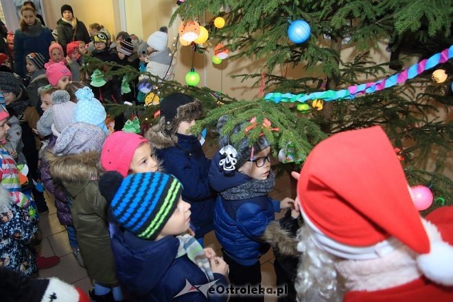 Strojenie choinki w Handlowcu [05.12.2016] - zdjęcie #80 - eOstroleka.pl