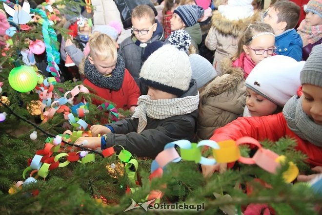 Strojenie choinki w Handlowcu [05.12.2016] - zdjęcie #41 - eOstroleka.pl