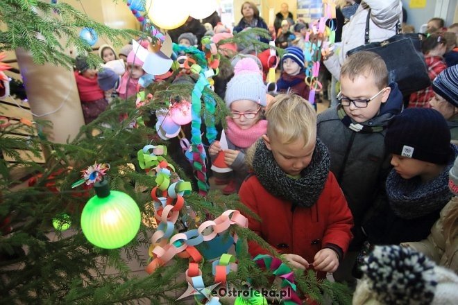 Strojenie choinki w Handlowcu [05.12.2016] - zdjęcie #39 - eOstroleka.pl