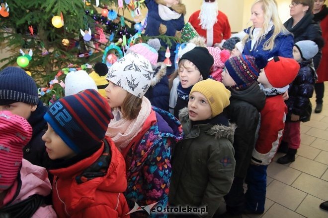 Strojenie choinki w Handlowcu [05.12.2016] - zdjęcie #37 - eOstroleka.pl