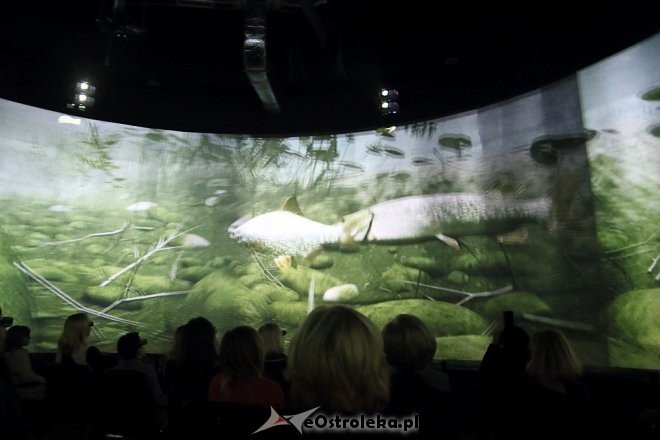 Uroczyste otwarcie Multimedialnego Centrum Natura i kina 5D 360 stopni [12.12.2016] - zdjęcie #1 - eOstroleka.pl