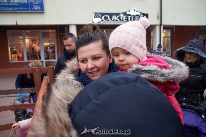 Miejska Wigilia 2016 w Ostrołęce [17.12.2016] - zdjęcie #20 - eOstroleka.pl