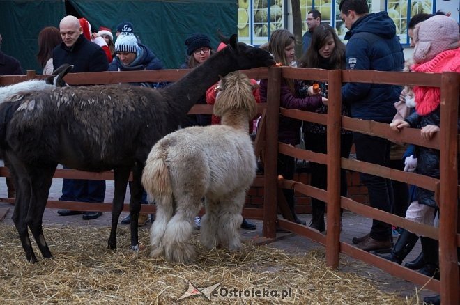 Miejska Wigilia 2016 w Ostrołęce [17.12.2016] - zdjęcie #17 - eOstroleka.pl