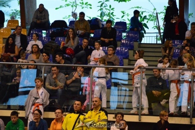 Turniej na 30-lecie Ostrołęckiego Klubu Karate Kyokoushin [18.12.2016] - zdjęcie #135 - eOstroleka.pl