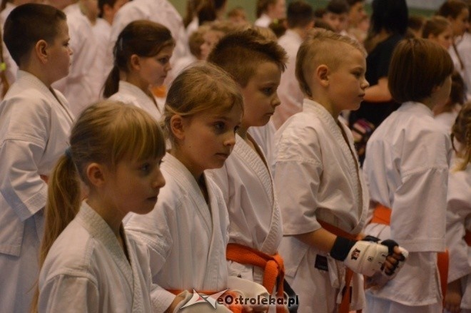 Turniej na 30-lecie Ostrołęckiego Klubu Karate Kyokoushin [18.12.2016] - zdjęcie #125 - eOstroleka.pl