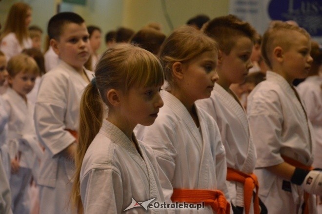 Turniej na 30-lecie Ostrołęckiego Klubu Karate Kyokoushin [18.12.2016] - zdjęcie #127 - eOstroleka.pl