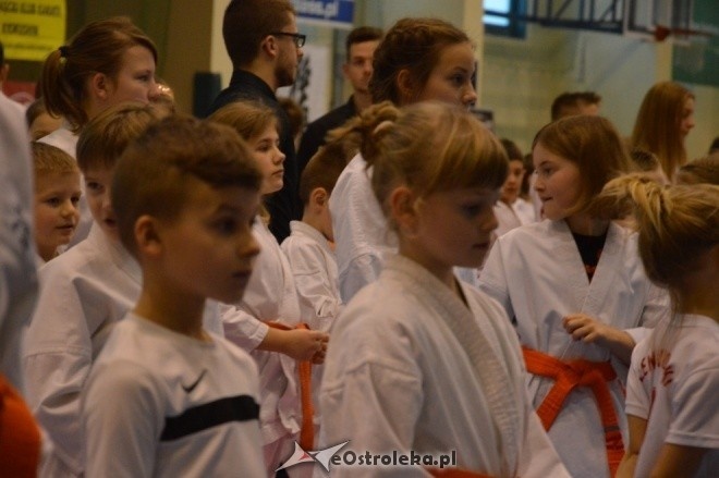 Turniej na 30-lecie Ostrołęckiego Klubu Karate Kyokoushin [18.12.2016] - zdjęcie #21 - eOstroleka.pl