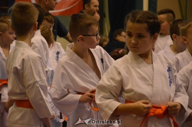 Turniej na 30-lecie Ostrołęckiego Klubu Karate Kyokoushin [18.12.2016] - zdjęcie #20 - eOstroleka.pl
