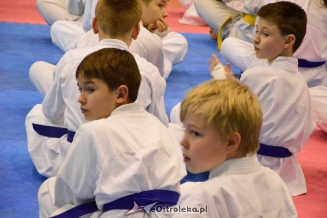 Turniej na 30-lecie Ostrołęckiego Klubu Karate Kyokoushin [18.12.2016] - zdjęcie #136 - eOstroleka.pl