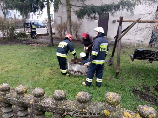 Niecodzienna akcja ratunkowa ostrołęckich strażaków na Starym Mieście [ZDJĘCIA] - zdjęcie #1 - eOstroleka.pl