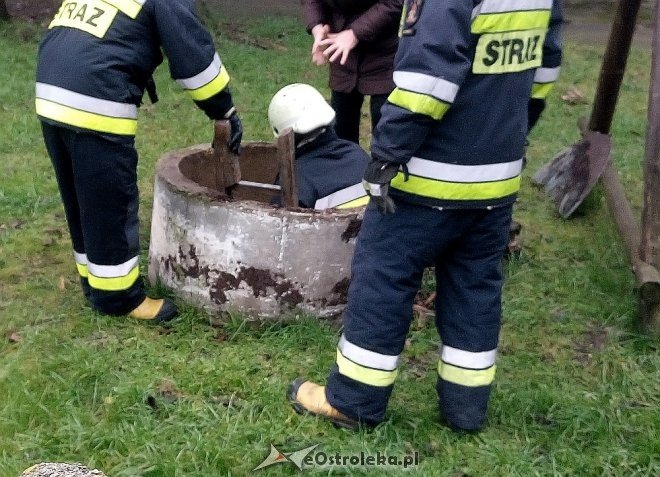 Niecodzienna akcja ratunkowa ostrołęckich strażaków na Starym Mieście [ZDJĘCIA] - zdjęcie #2 - eOstroleka.pl