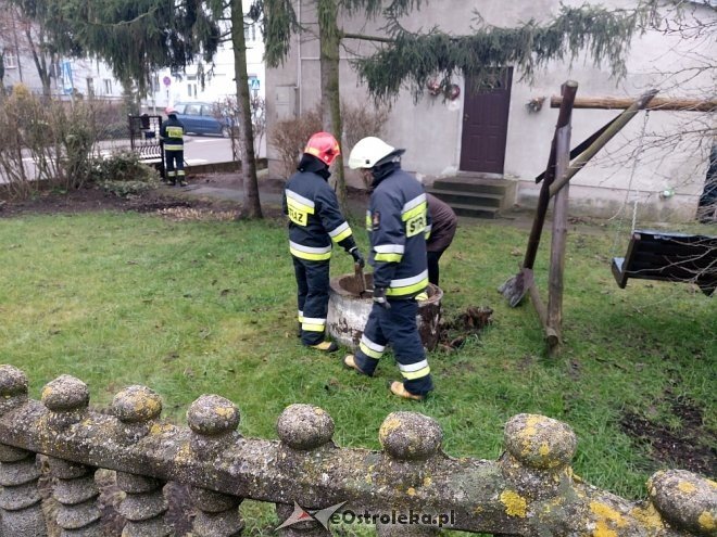 Niecodzienna akcja ratunkowa ostrołęckich strażaków na Starym Mieście [ZDJĘCIA] - zdjęcie #3 - eOstroleka.pl