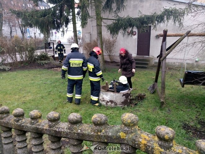Niecodzienna akcja ratunkowa ostrołęckich strażaków na Starym Mieście [ZDJĘCIA] - zdjęcie #4 - eOstroleka.pl