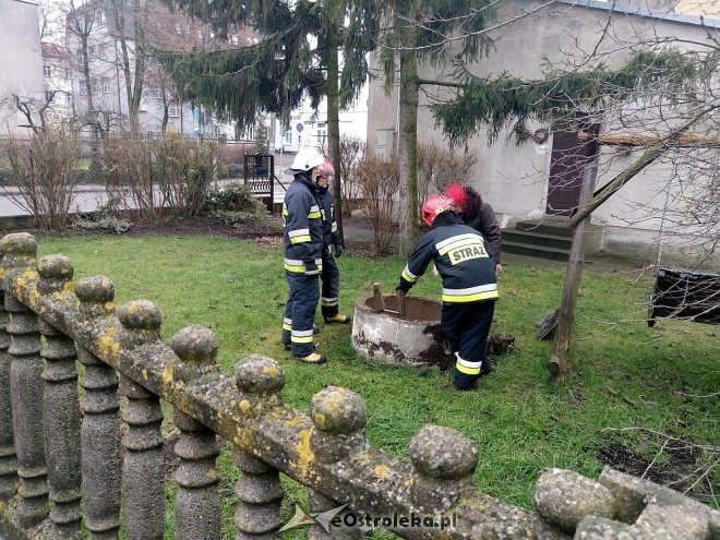 Niecodzienna akcja ratunkowa ostrołęckich strażaków na Starym Mieście [ZDJĘCIA] - zdjęcie #6 - eOstroleka.pl