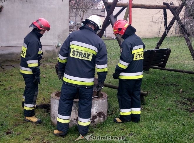 Niecodzienna akcja ratunkowa ostrołęckich strażaków na Starym Mieście [ZDJĘCIA] - zdjęcie #7 - eOstroleka.pl