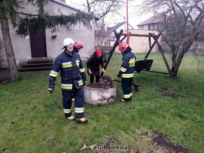 Niecodzienna akcja ratunkowa ostrołęckich strażaków na Starym Mieście [ZDJĘCIA] - zdjęcie #8 - eOstroleka.pl