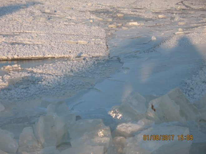 Niedzielna kąpiel Morsów z Ostrołęki [ZDJĘCIA] - zdjęcie #68 - eOstroleka.pl