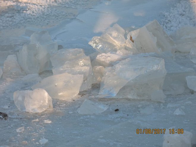 Niedzielna kąpiel Morsów z Ostrołęki [ZDJĘCIA] - zdjęcie #66 - eOstroleka.pl