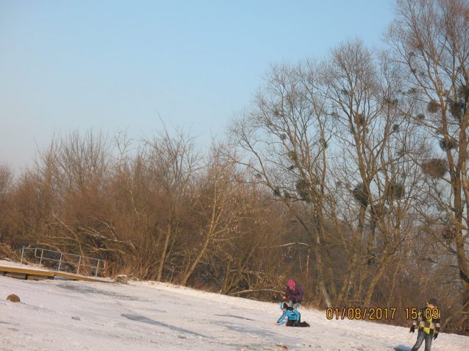 Niedzielna kąpiel Morsów z Ostrołęki [ZDJĘCIA] - zdjęcie #55 - eOstroleka.pl