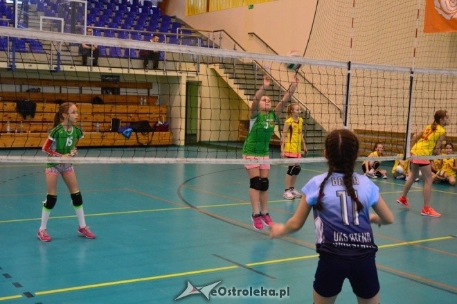 Turniej z okazji 10-lecia Nike Ostrołęka [14.01.2017] - zdjęcie #39 - eOstroleka.pl