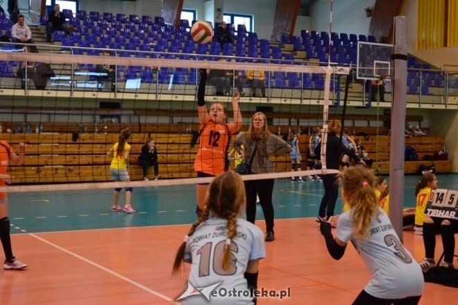 Turniej z okazji 10-lecia Nike Ostrołęka [14.01.2017] - zdjęcie #2 - eOstroleka.pl