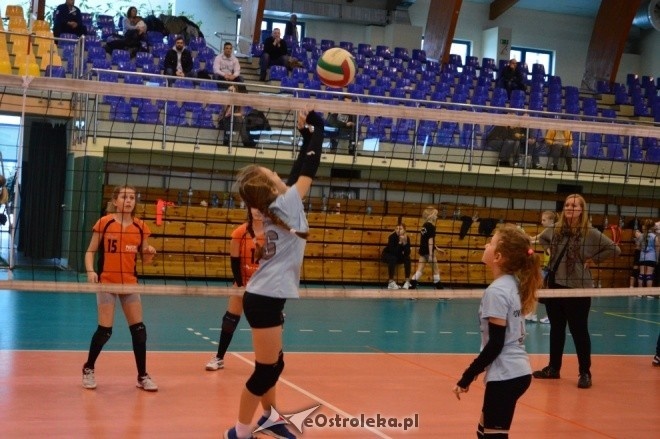 Turniej z okazji 10-lecia Nike Ostrołęka [14.01.2017] - zdjęcie #1 - eOstroleka.pl