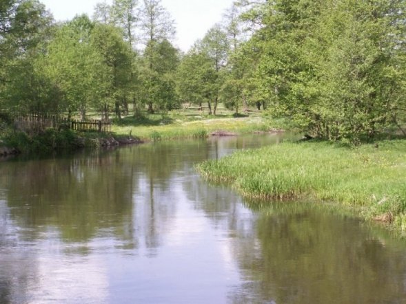 Otwarcie Sezony Turystycznego 2008 - zdjęcie #66 - eOstroleka.pl