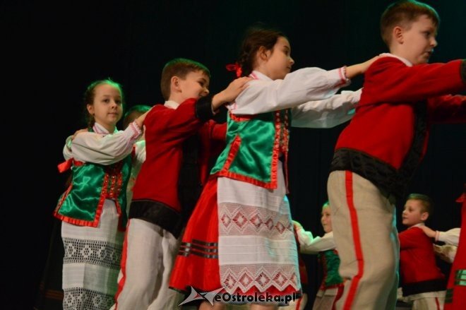 Gala KURPIKI 2017 [20.02.2017] - zdjęcie #6 - eOstroleka.pl