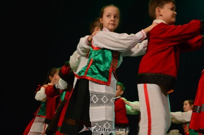 Gala KURPIKI 2017 [20.02.2017] - zdjęcie #5 - eOstroleka.pl