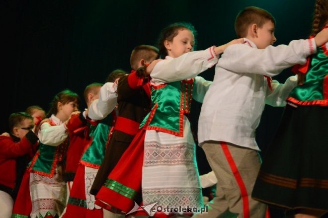 Gala KURPIKI 2017 [20.02.2017] - zdjęcie #4 - eOstroleka.pl